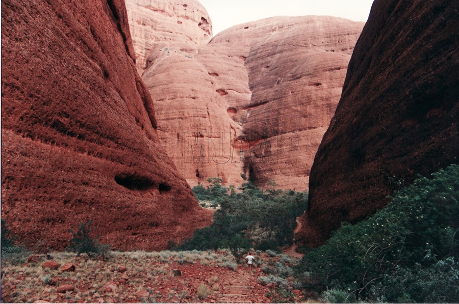 Kata Tjuta / Mount Olga 'Ron' 1990